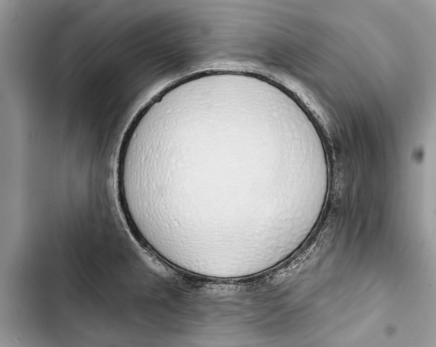 X0000103441237200810031406