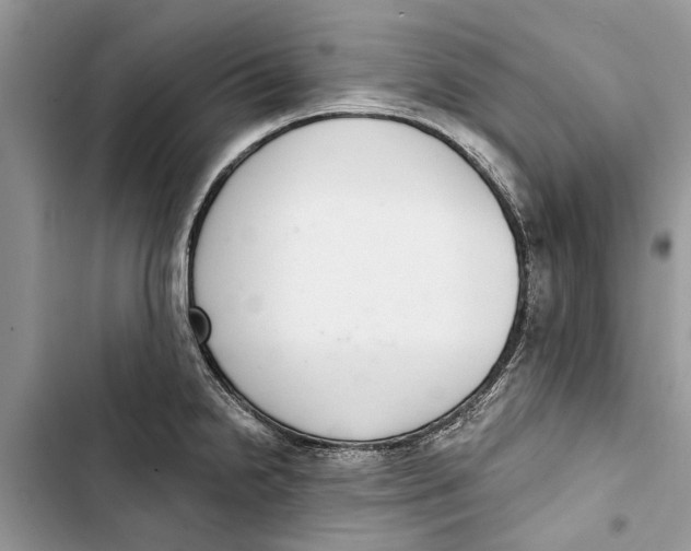 X0000103441238200810031406