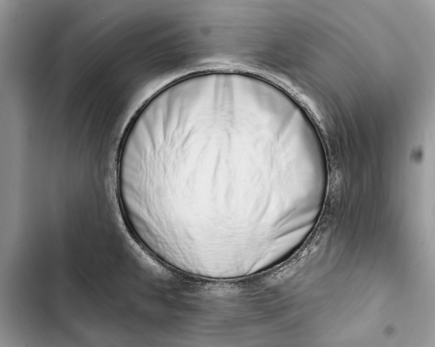 X0000103441239200810031406