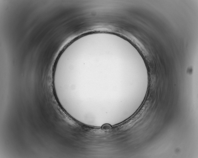 X0000103441240200810031406