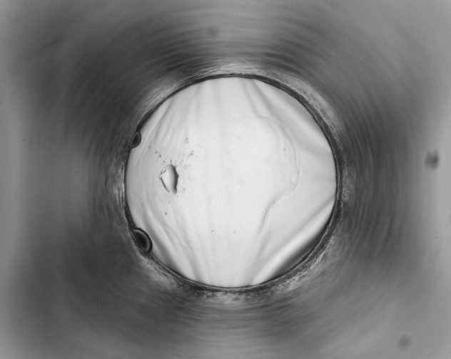 X0000103441241200810031406