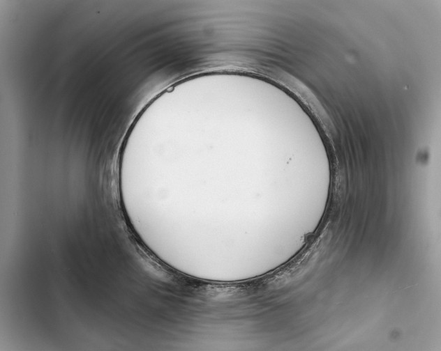 X0000103441242200810031406