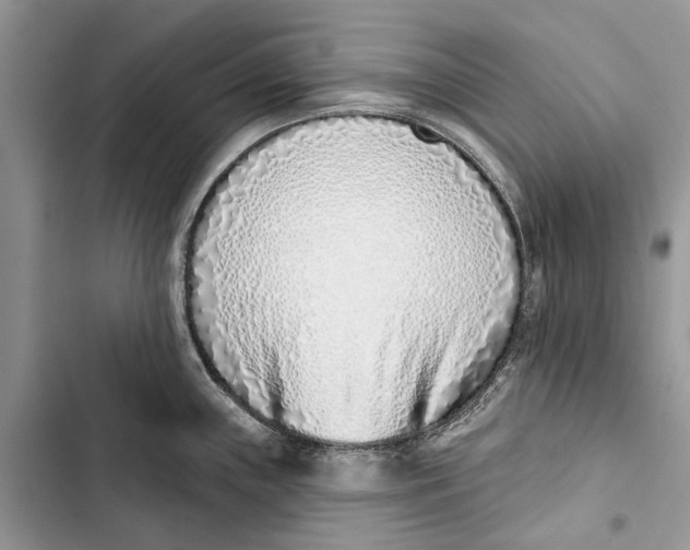 X0000103441243200810031406