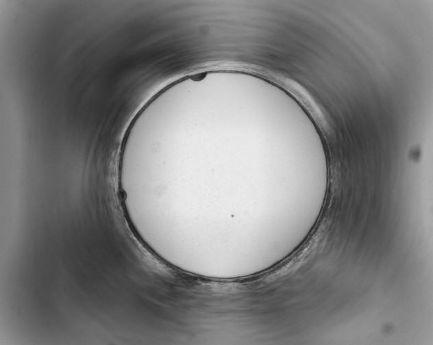 X0000103441244200810031406