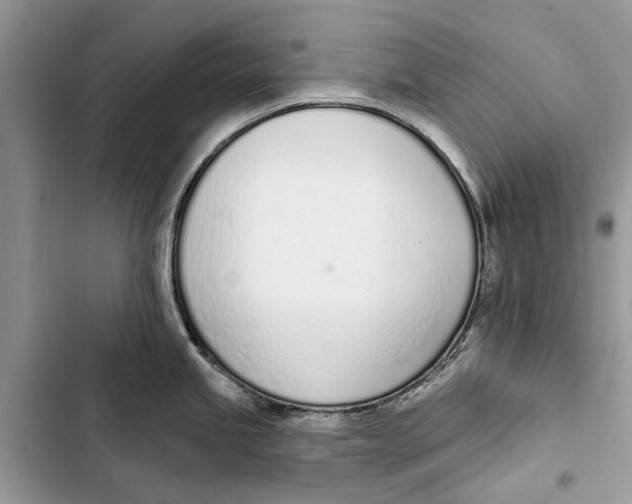 X0000103441245200810031406
