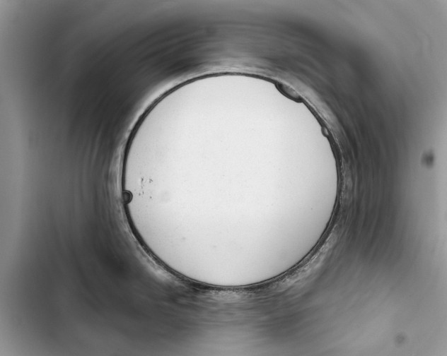 X0000103441246200810031406