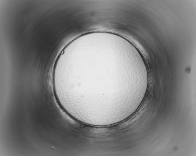 X0000103441247200810031406