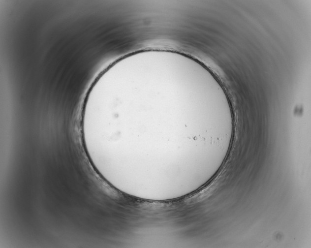 X0000103441248200810031406