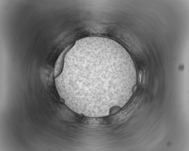 X0000103441251200810031405