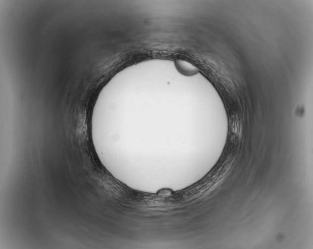 X0000103441252200810031405