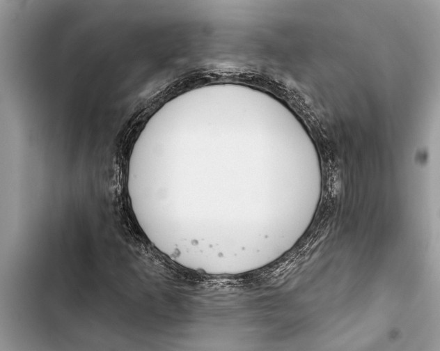 X0000103441253200810031405