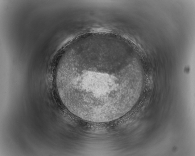 X0000103441254200810031405