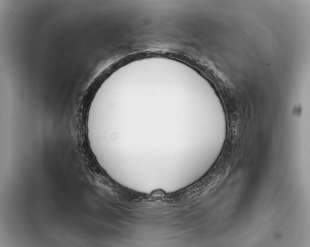 X0000103441256200810031405
