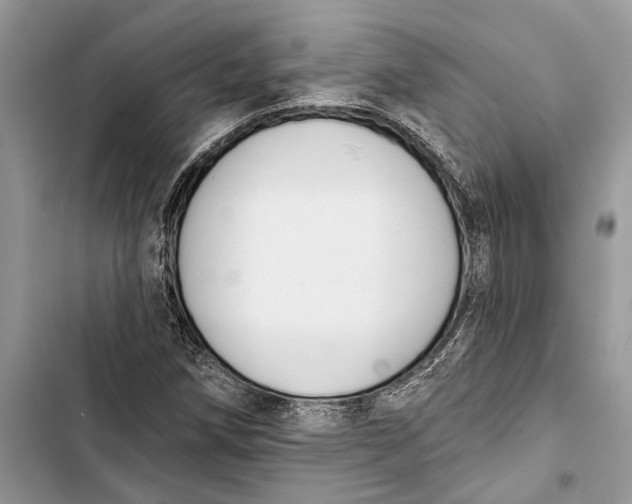 X0000103441258200810031405