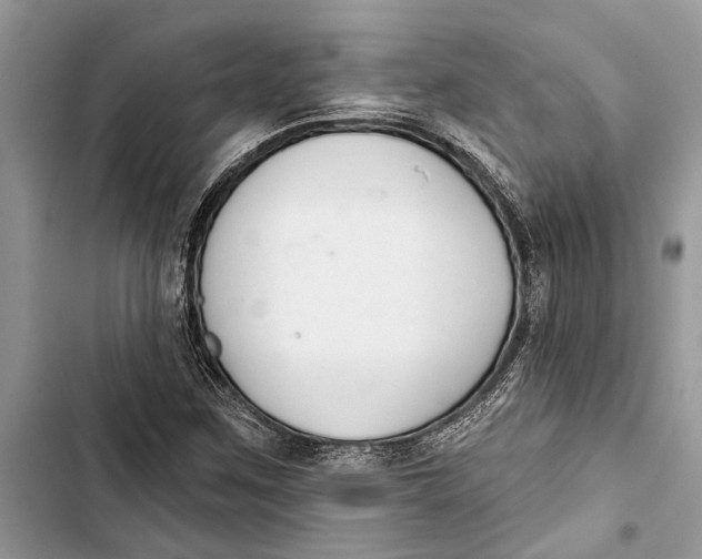 X0000103441259200810031405