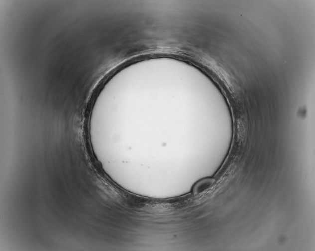 X0000103441260200810031405