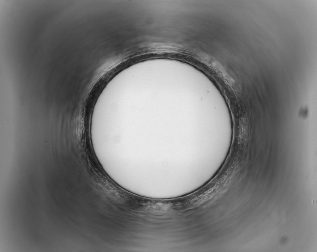 X0000103441261200810031405