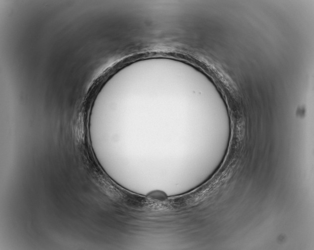 X0000103441262200810031405
