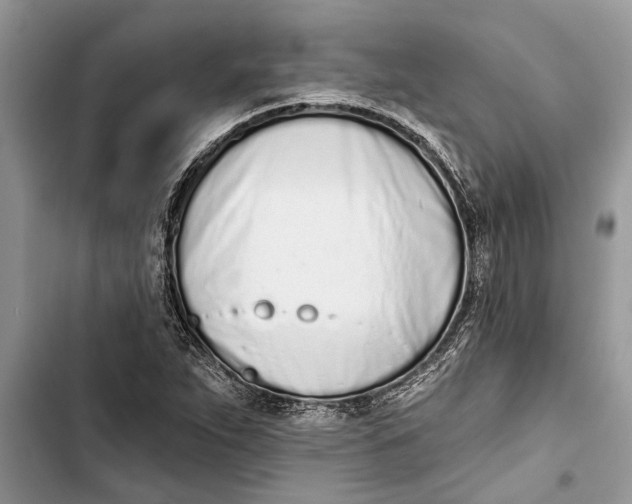 X0000103441263200810031405
