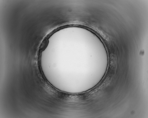 X0000103441264200810031405