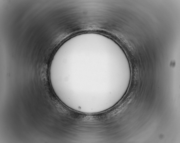 X0000103441265200810031405