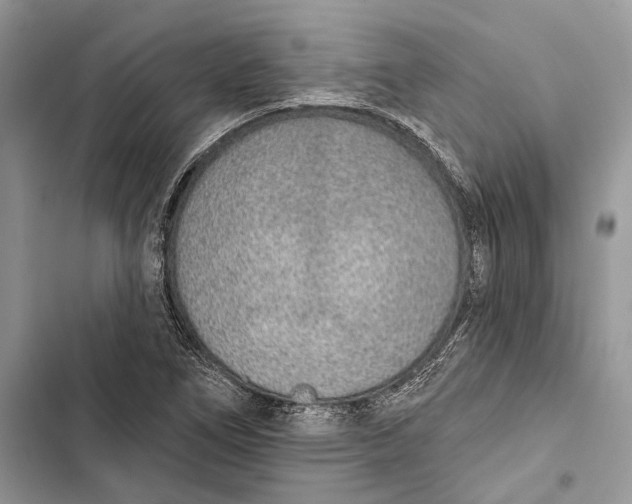X0000103441266200810031405