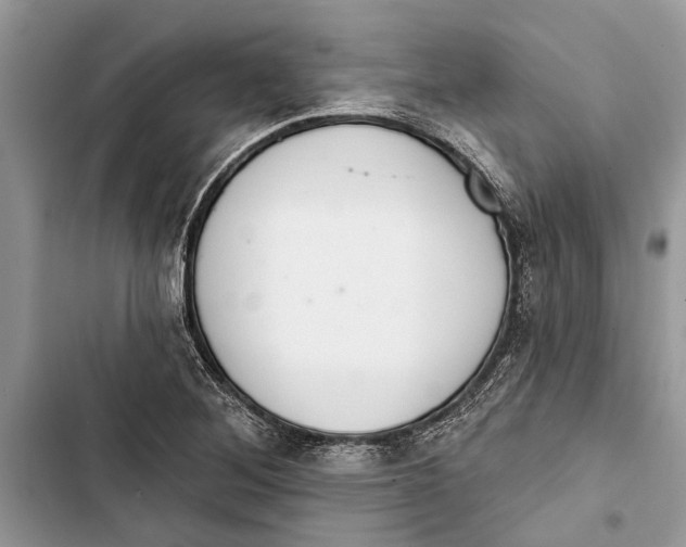 X0000103441268200810031405