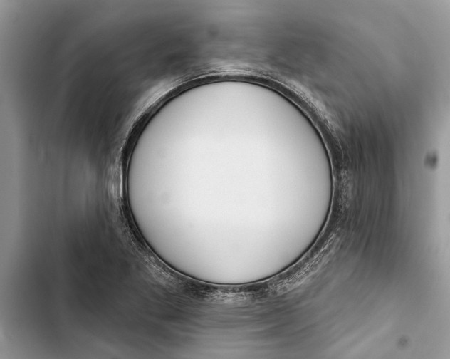 X0000103441269200810031405