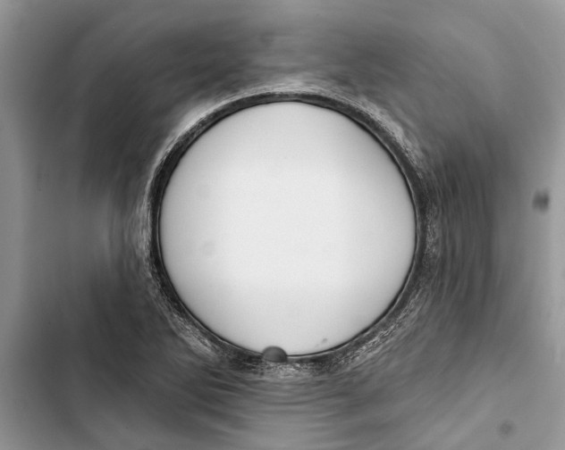X0000103441270200810031405
