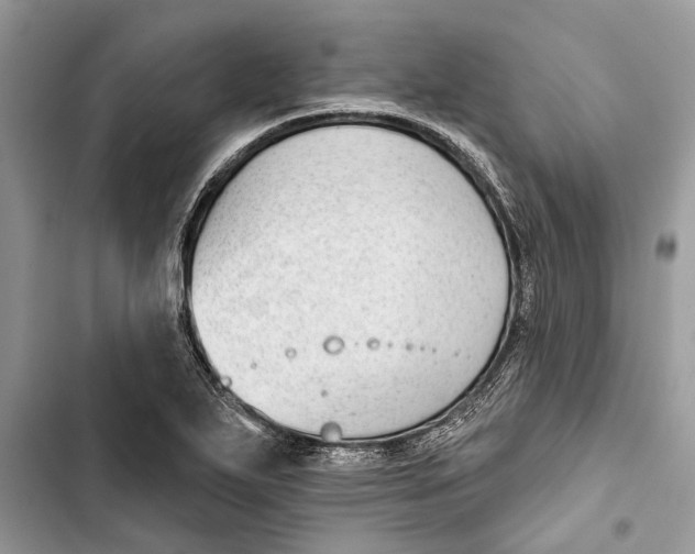X0000103441271200810031405