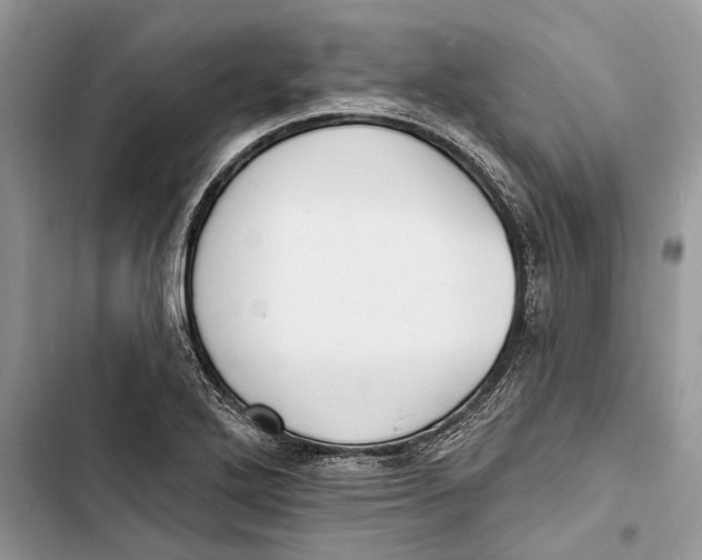 X0000103441272200810031405