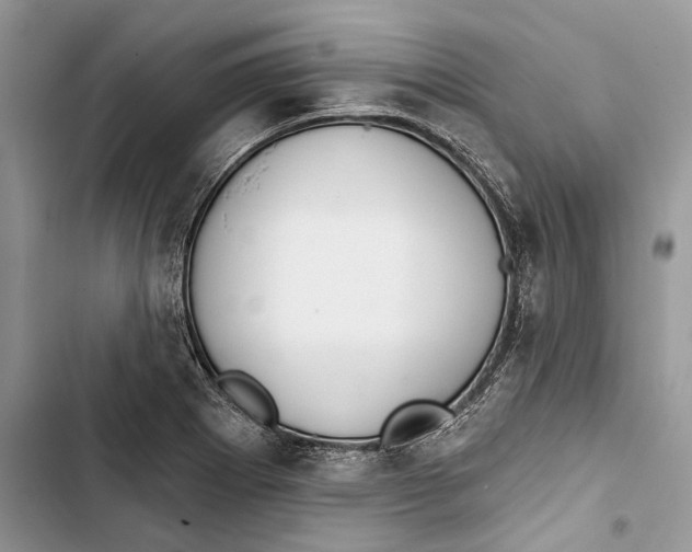 X0000103441273200810031405