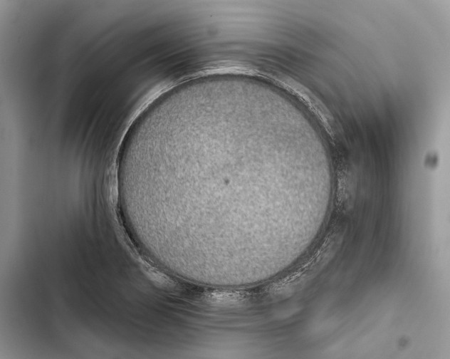X0000103441274200810031405