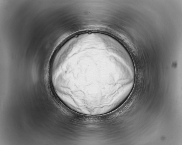 X0000103441275200810031405