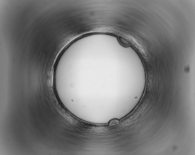 X0000103441276200810031405