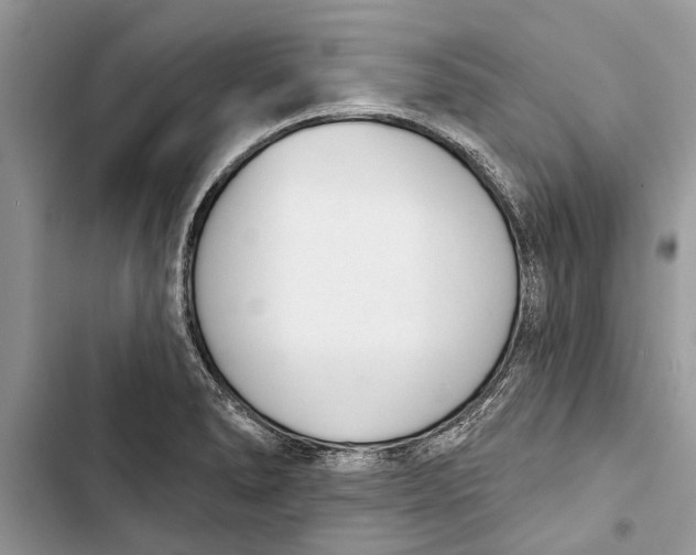 X0000103441278200810031405