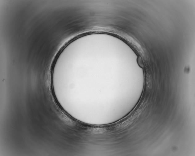 X0000103441280200810031405