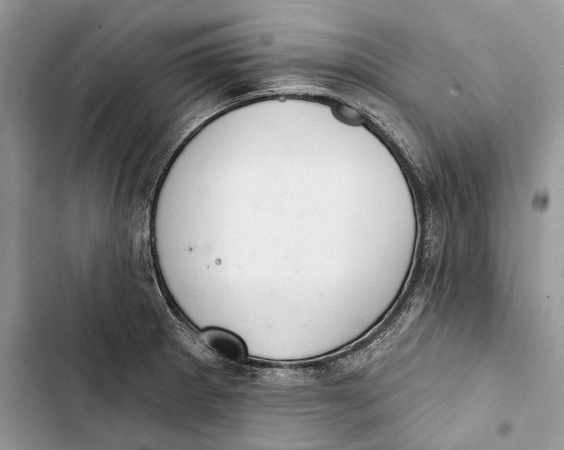 X0000103441281200810031405