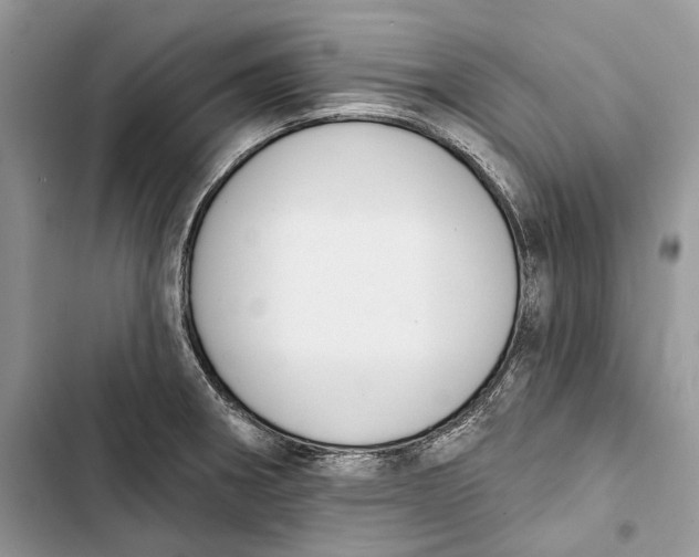 X0000103441282200810031405