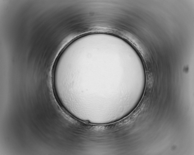 X0000103441283200810031405