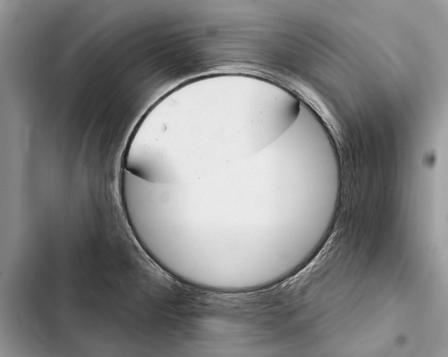 X0000103441284200810031405