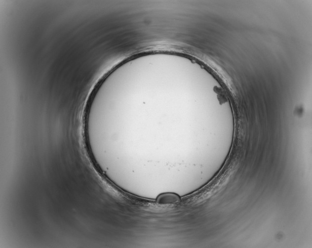 X0000103441285200810031405