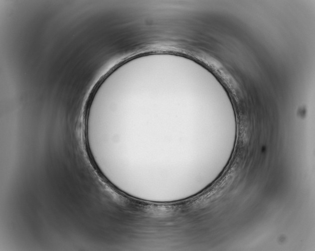 X0000103441286200810031405