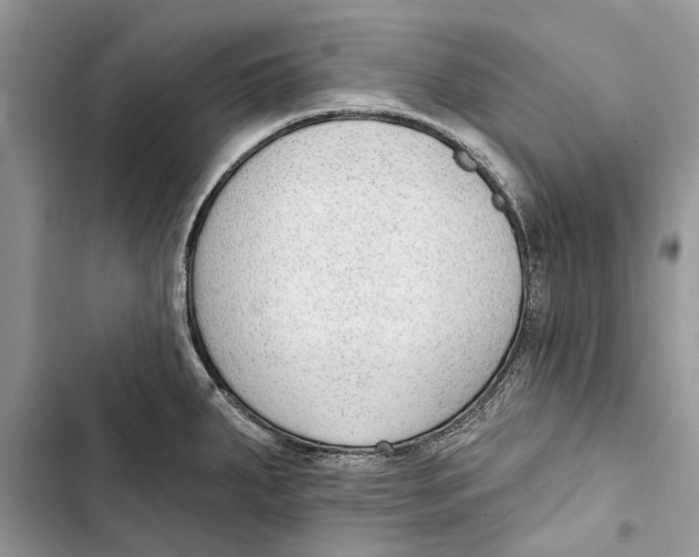 X0000103441287200810031405