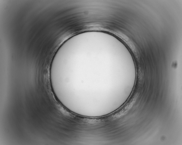 X0000103441289200810031405