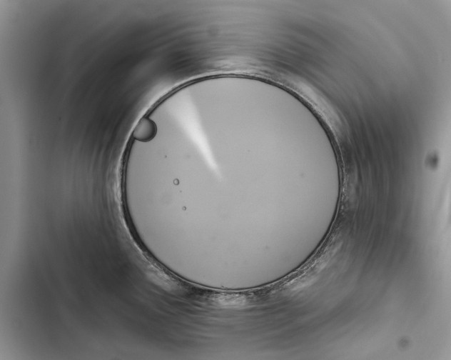 X0000103441291200810031405
