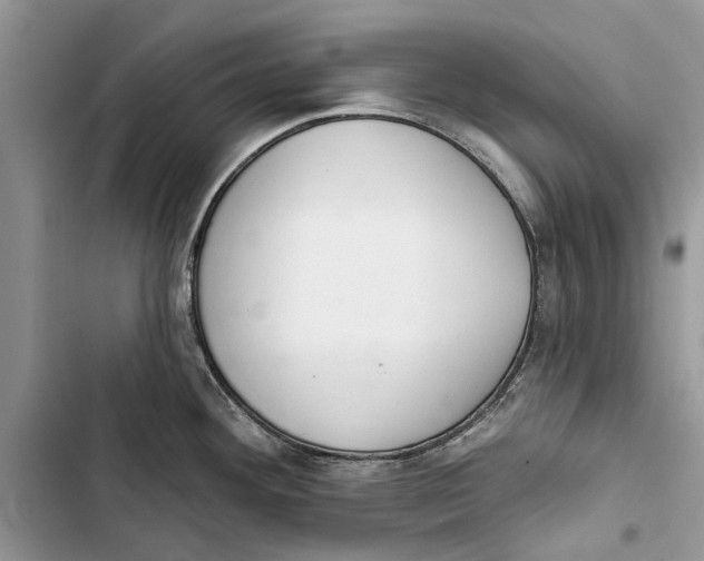 X0000103441292200810031405