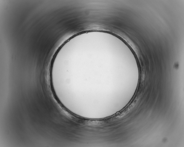 X0000103441293200810031405