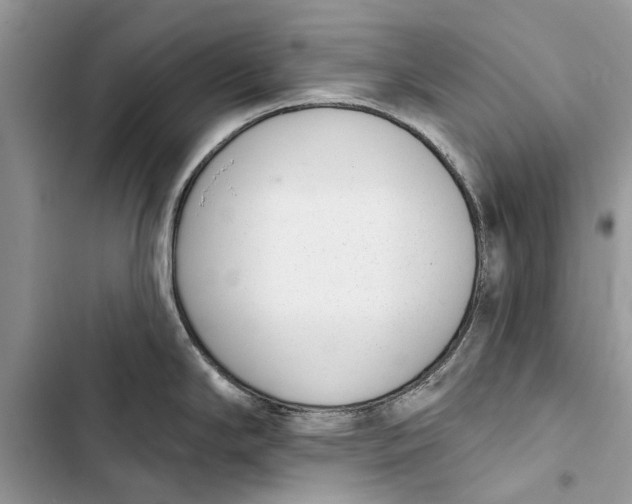 X0000103441294200810031405