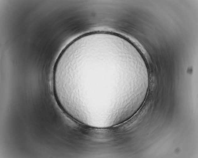 X0000103441295200810031405